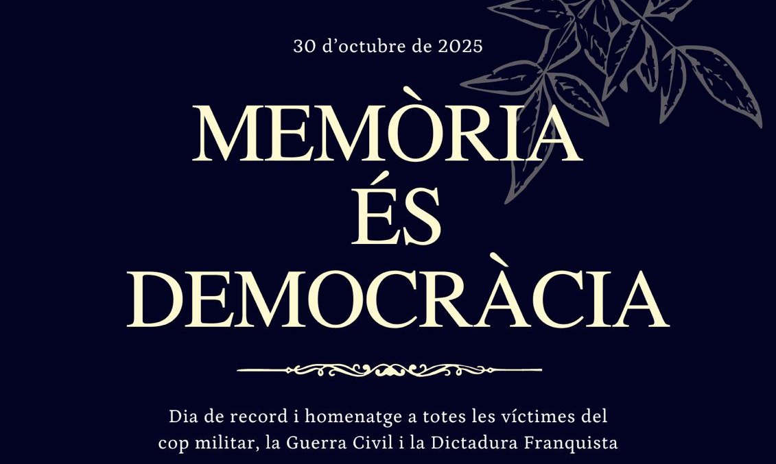 Imatge de l'activitat Imatge de l'activitat