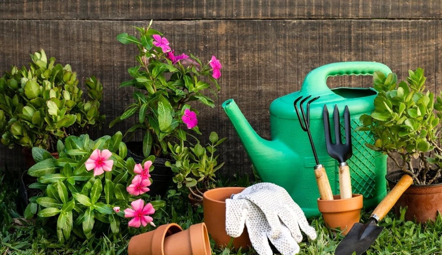 Imatge de l'activitat Imatge de l'activitat