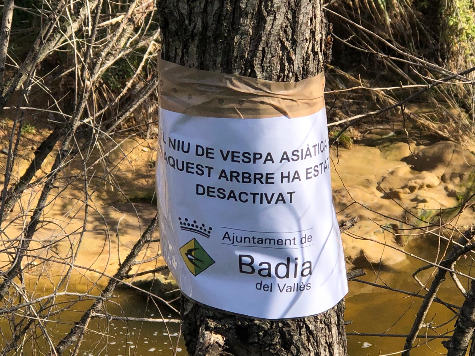 Inactivaci de nius de vespa asitica